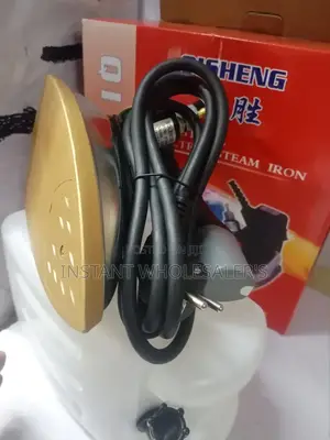 Quality Proffesional Steam Iron Ironer
