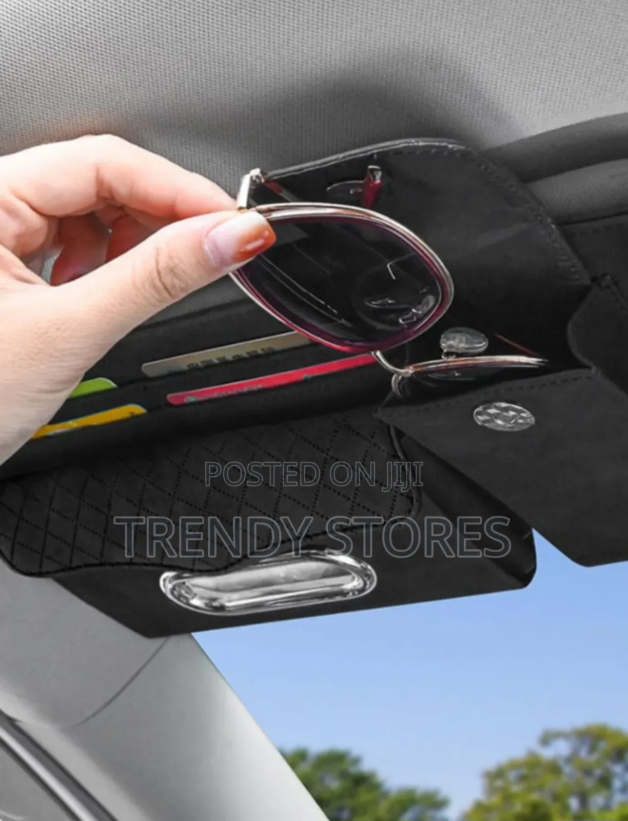 Sun Visor Organizer