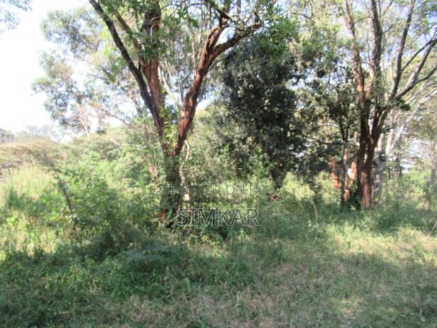 9 Acres of Land for Sale in Karen Hardy