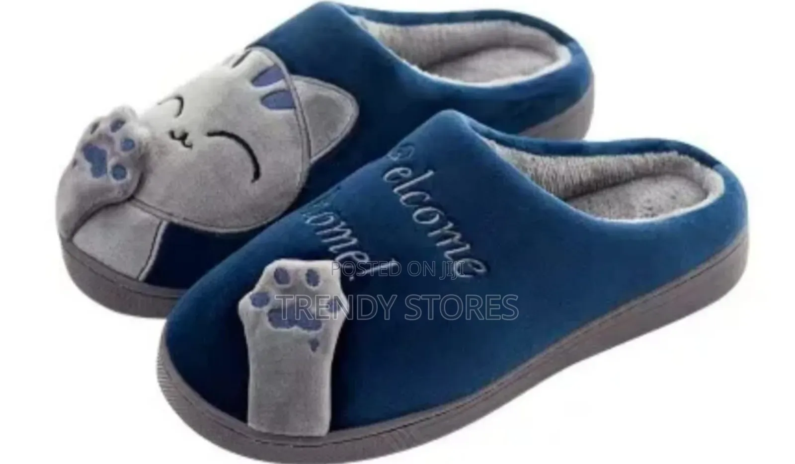 Indoor Shoes