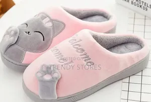 Indoor Shoes