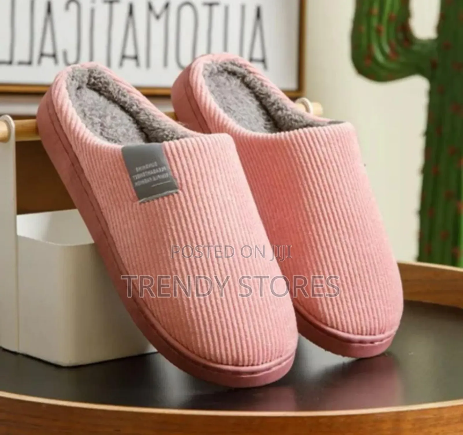 Indoor Shoes