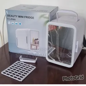 4l Portable Beauty Car Fridge ( Dc Power or Ac Power)