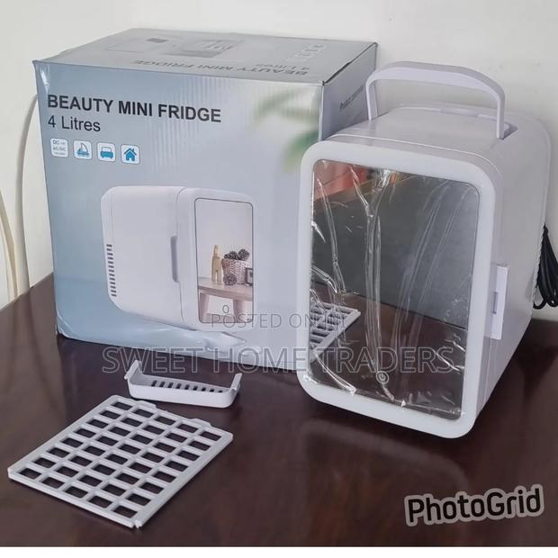 4l Portable Beauty Car Fridge ( Dc Power or Ac Power)
