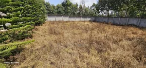 Commercial 1⁄4 Plot Perimetre Wall for Sale in Annex Eldoret