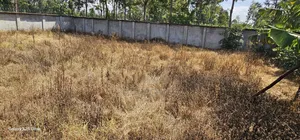 Commercial 1⁄4 Plot Perimetre Wall for Sale in Annex Eldoret