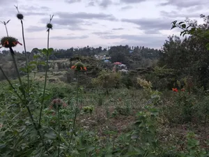 One Acre Piece of Land in Ngong, Olkeri 500 MTRS From Tarmac