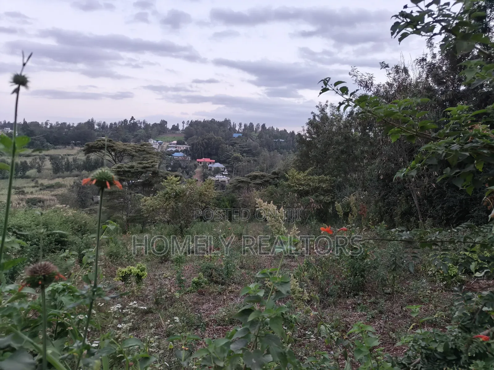 One Acre Piece of Land in Ngong, Olkeri 500 MTRS From Tarmac