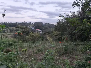 One Acre Piece of Land in Ngong, Olkeri 500 MTRS From Tarmac