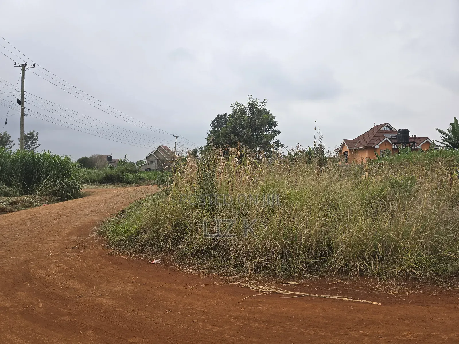 Dam Ridge Mugutha 50x100 Plots