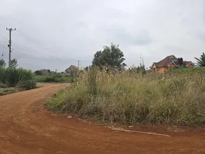 Dam Ridge Mugutha 50x100 Plots