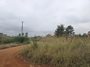 Dam Ridge Mugutha 50x100 Plots