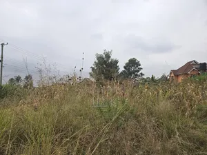 Dam Ridge Mugutha 50x100 Plots