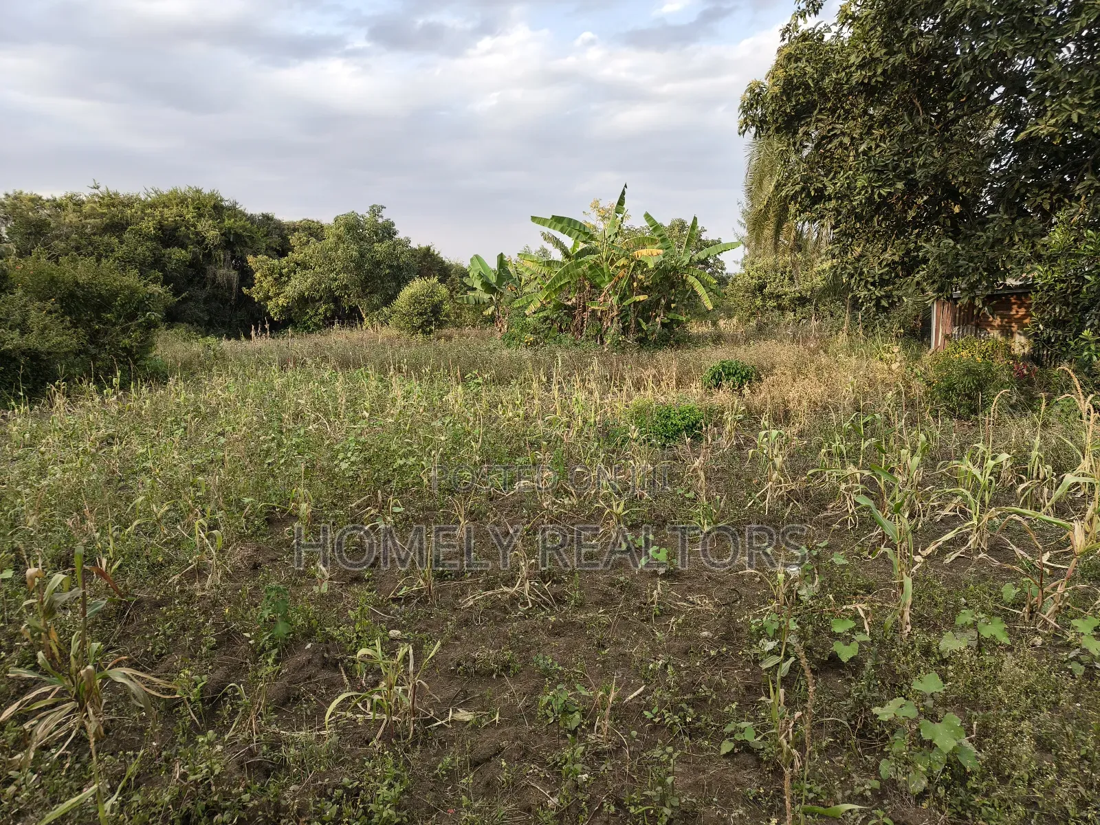 One Acre Piece of Land in Ngong, Olkeri Good Location