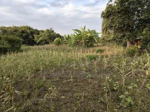 One Acre Piece of Land in Ngong, Olkeri Good Location
