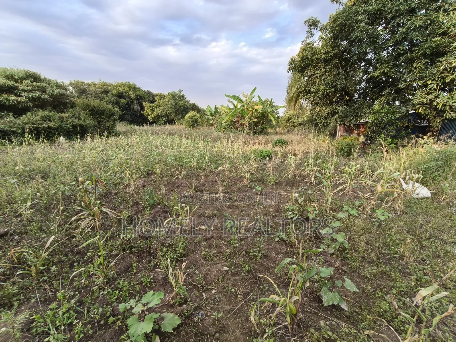One Acre Piece of Land in Ngong, Olkeri Good Location
