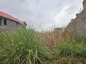 100x100 Redsoil Plots in Mugutha