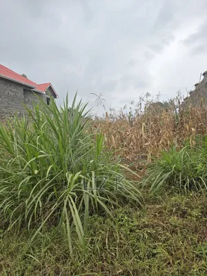 100x100 Redsoil Plots in Mugutha