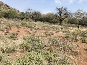 7 Acres Piece of Land on Sale in Ngong, Saikeri, Red Soil - thumbnail 2
