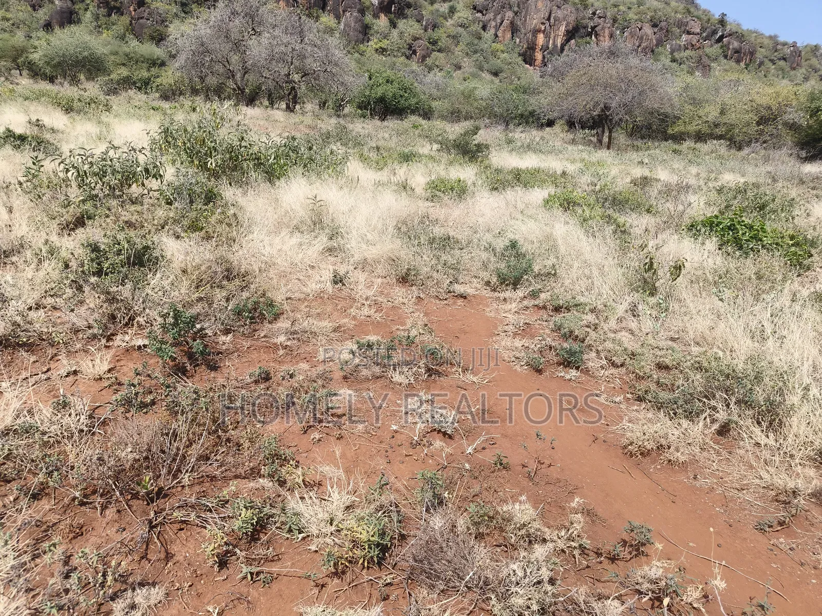 7 Acres Piece of Land on Sale in Ngong, Saikeri, Red Soil