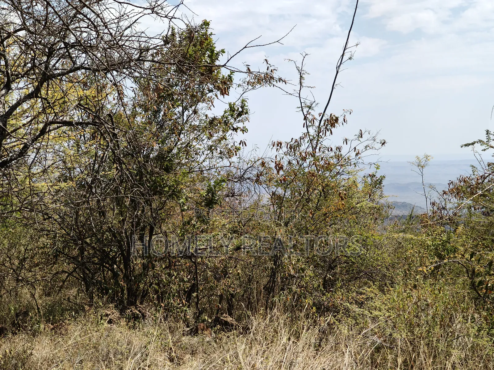 7 Acres Piece of Land on Sale in Ngong, Saikeri, Red Soil