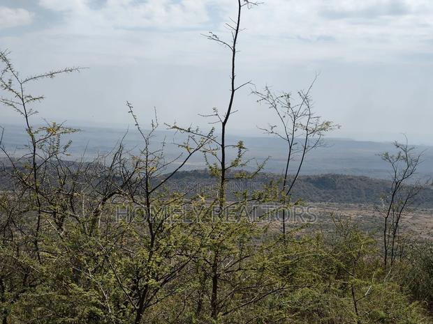 7 Acres Piece of Land on Sale in Ngong, Saikeri, Red Soil - thumbnail 9