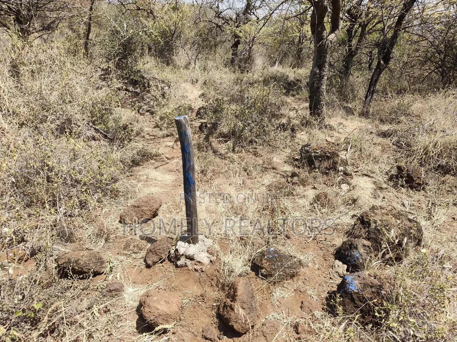 7 Acres Piece of Land on Sale in Ngong, Saikeri, Red Soil