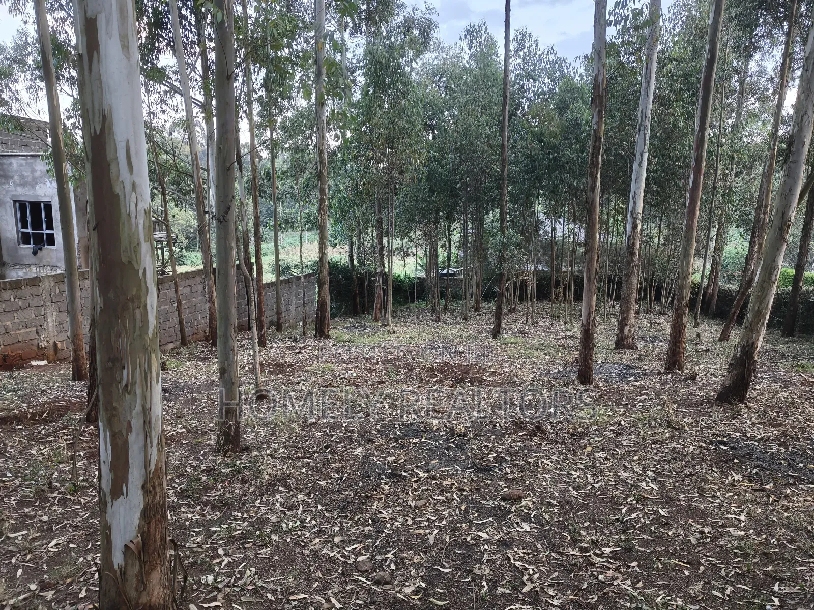 Prime Quarter Acre Plot in Ngong Touching Kahara Main Road