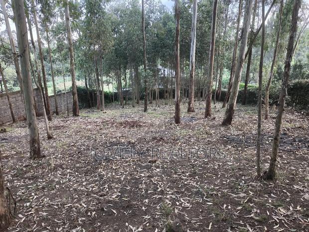 Prime Quarter Acre Plot in Ngong Touching Kahara Main Road - thumbnail 2