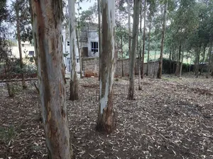 Prime Quarter Acre Plot in Ngong Touching Kahara Main Road