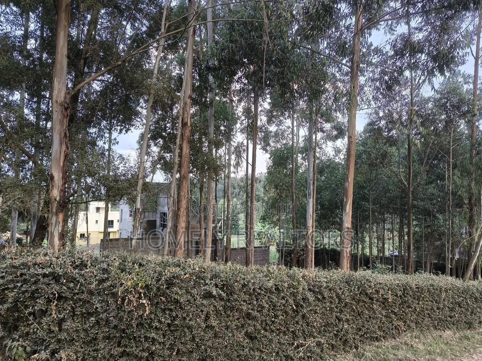 Prime Quarter Acre Plot in Ngong Touching Kahara Main Road