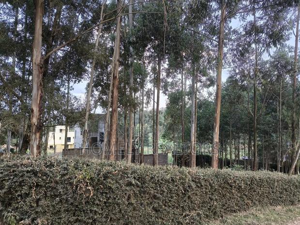 Prime Quarter Acre Plot in Ngong Touching Kahara Main Road - thumbnail 6