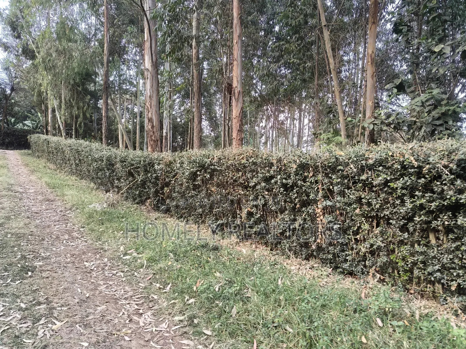Prime Quarter Acre Plot in Ngong Touching Kahara Main Road
