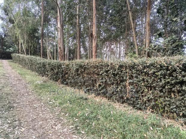 Prime Quarter Acre Plot in Ngong Touching Kahara Main Road - thumbnail 7