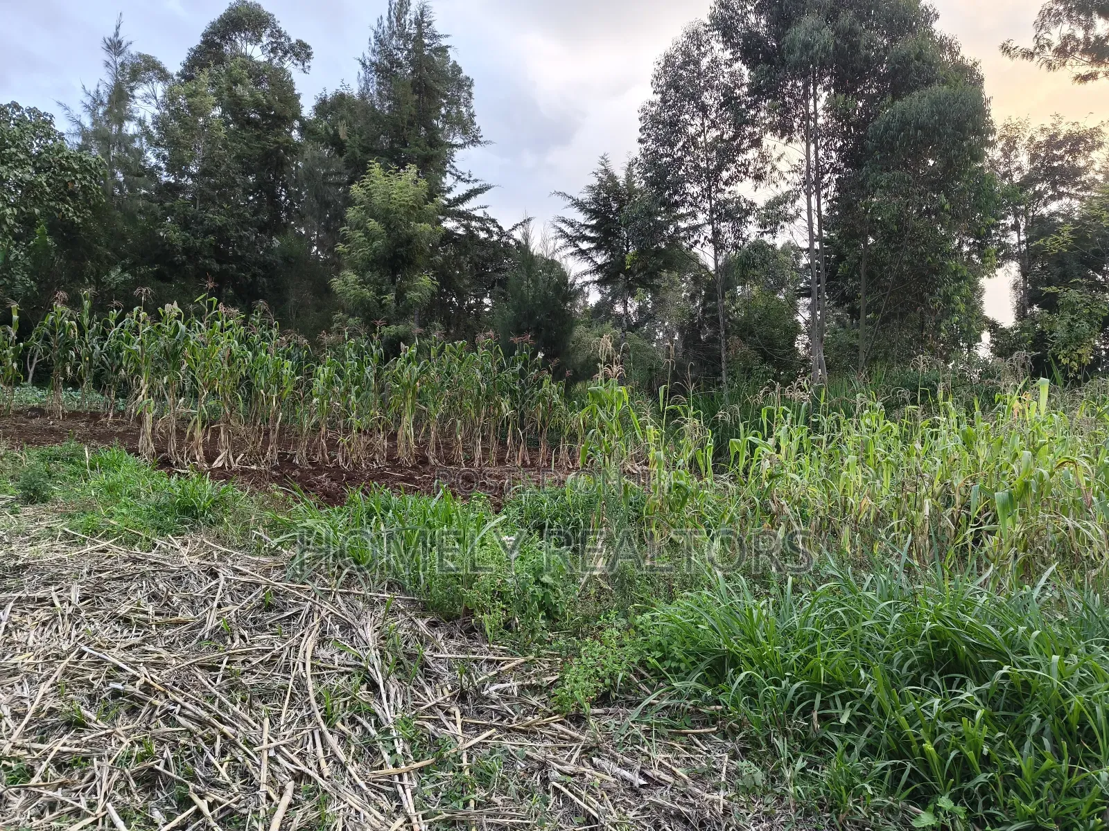 Eighth Acre Plot in Ngong, Along Kahara Road. Red Soil