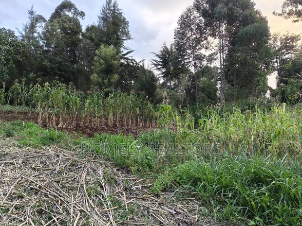 Eighth Acre Plot in Ngong, Along Kahara Road. Red Soil - thumbnail 3