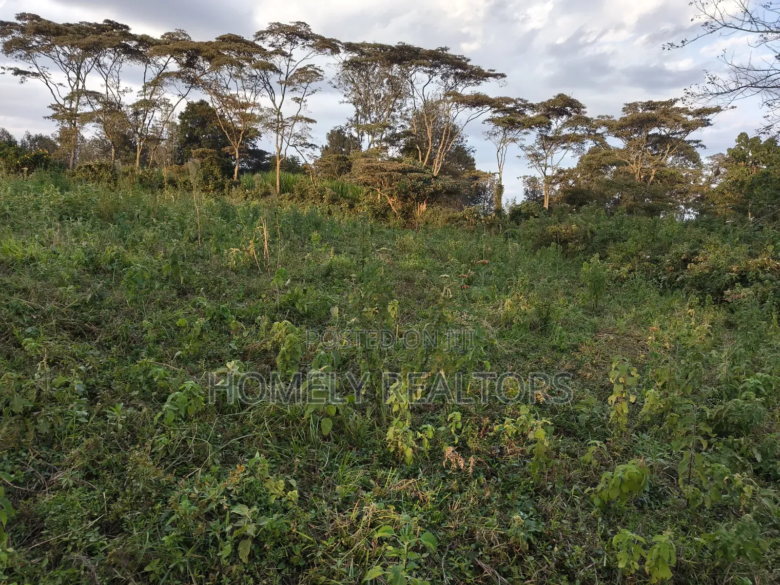 Residential Eighth Acre Plots in Ngong, Bondeni. Red Soil