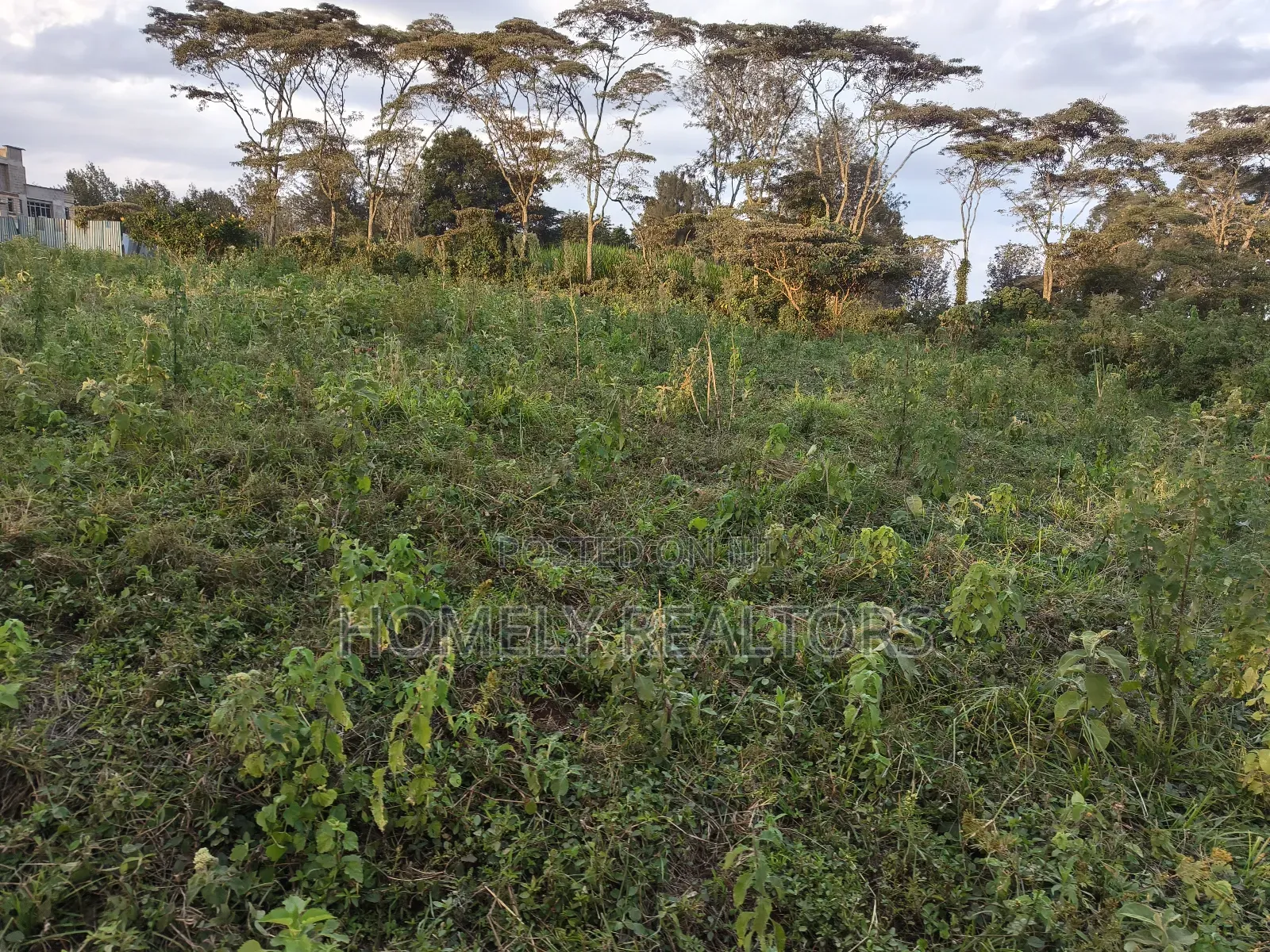 Residential Eighth Acre Plots in Ngong, Bondeni. Red Soil