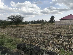 Residential Quarter Acre Plot in Ngong, Merisho Near Tarmac
