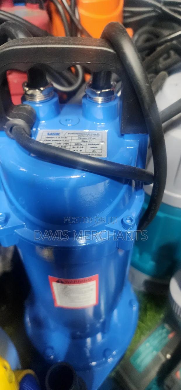 Shallow Well 1hp Pump With Float Switch - main view