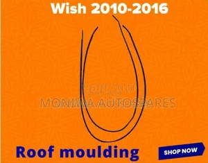 Roof Moulding Toyota Wish 2010-2016