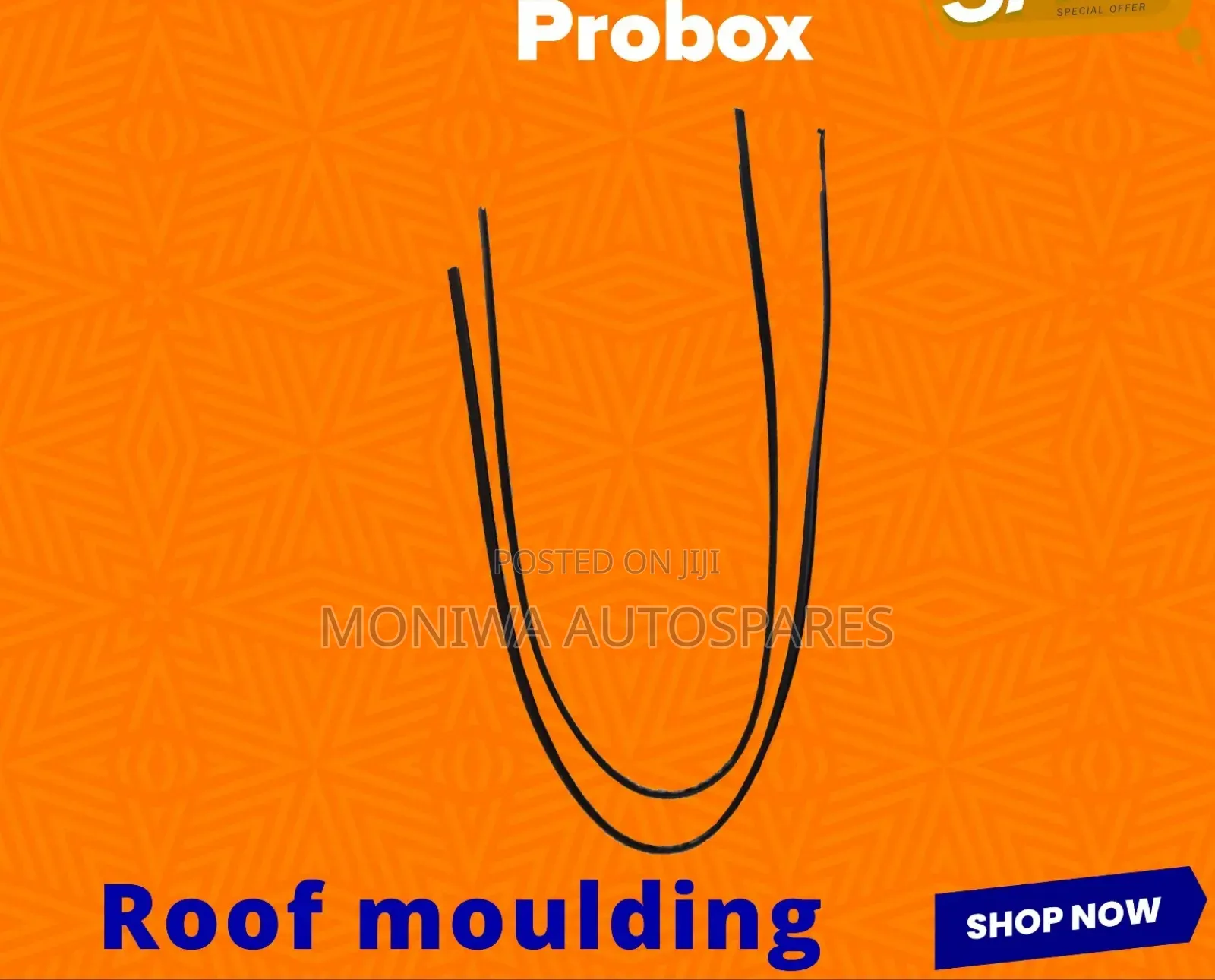 Roof Moulding Toyota Probox
