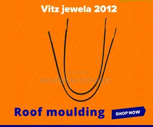 Roof Moulding Vitz Jewela 2012