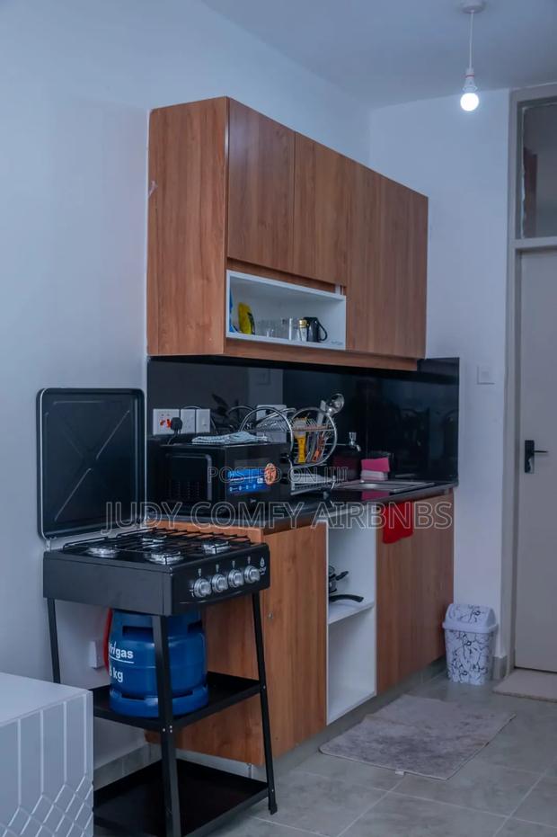 Furnished Air BNBS-Studio,1,2 Bedrooms Roysamb-TRM - thumbnail 2