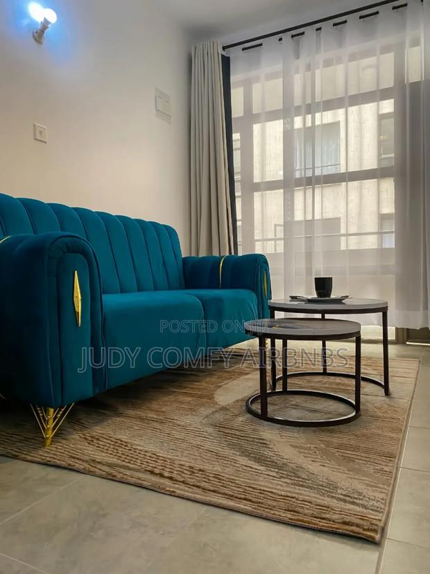 Furnished Air BNBS-Studio,1,2 Bedrooms Roysamb-TRM - thumbnail 3