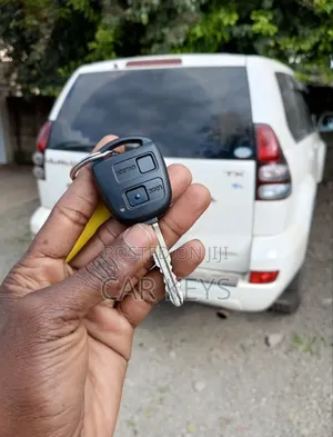 Prado 120 Key Replacement Services 