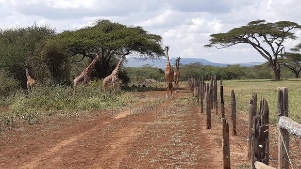 534 Acres Ranch Kajiado - thumbnail 3