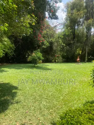 534 Acres Ranch Kajiado
