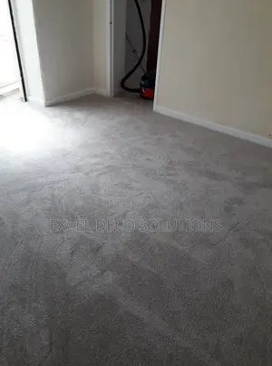 Delta Carpets – Transform Your Room Instantly!