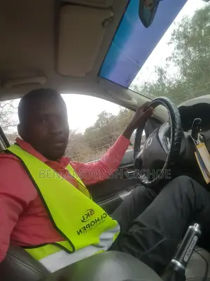 Looking as a Delivery Driver Cv